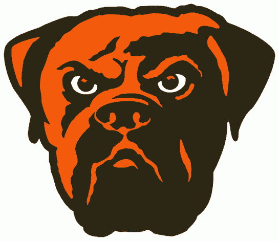 Cleveland Browns 2003-2014 Alternate Logo DIY iron on transfer (heat transfer)